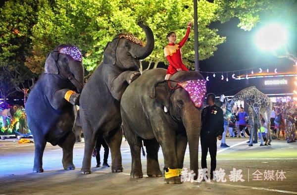 Shanghai: aberto ao público parque noturno de vida selvagem