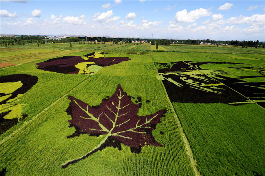 Parque de arte Tanbo acrescenta variedade artística à paisagem de Xinjiang