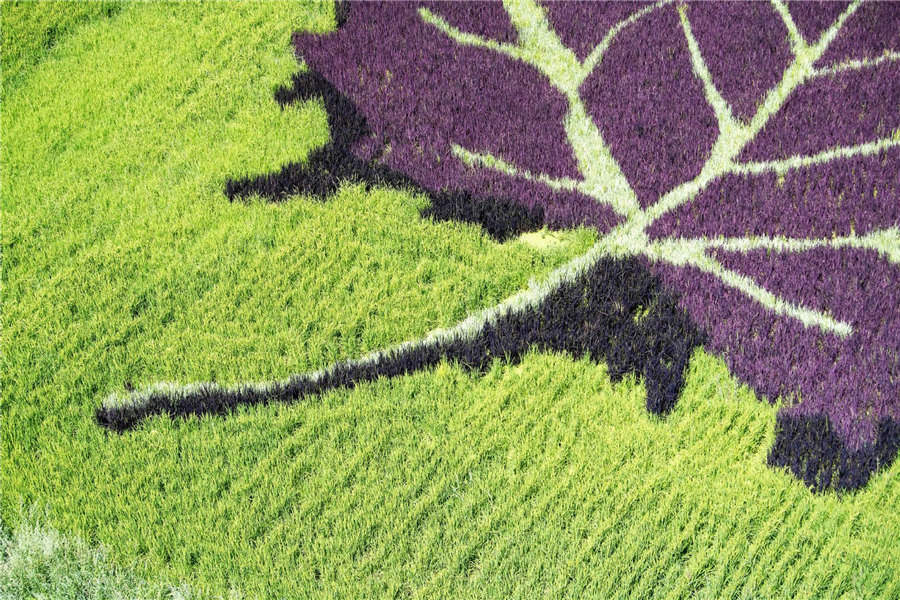 Parque de arte Tanbo acrescenta variedade artística à paisagem de Xinjiang