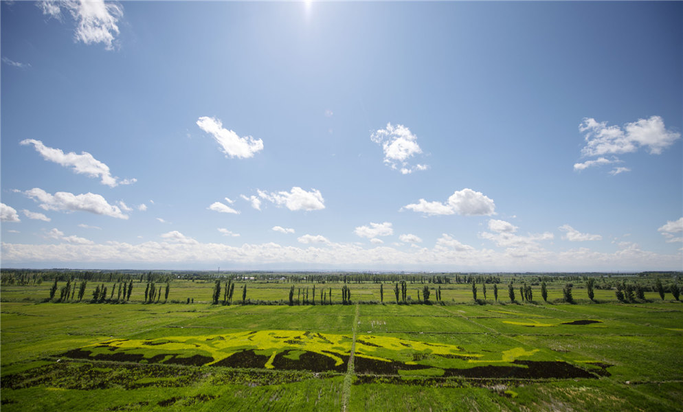 Parque de arte Tanbo acrescenta variedade artística à paisagem de Xinjiang