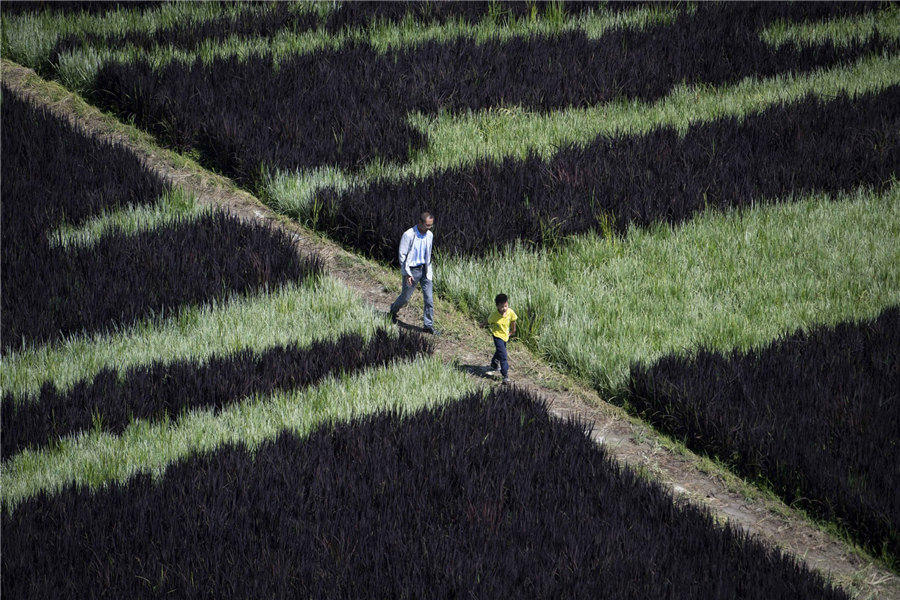 Parque de arte Tanbo acrescenta variedade artística à paisagem de Xinjiang