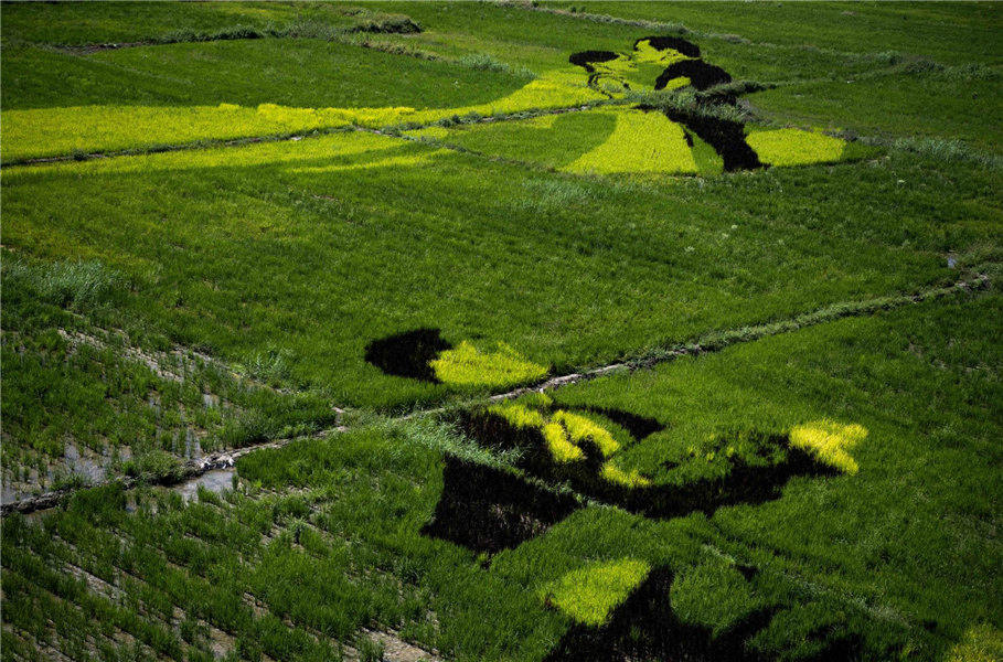 Parque de arte Tanbo acrescenta variedade artística à paisagem de Xinjiang