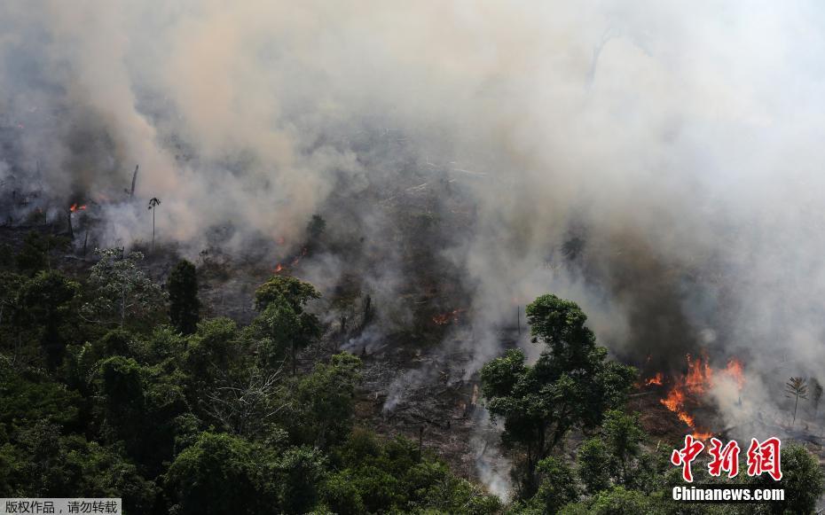 Onda de incêndios na Floresta Amaz?nica podem ser intencionais