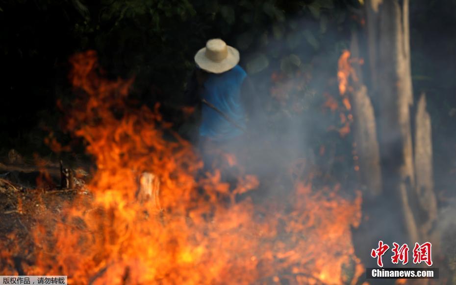 Onda de incêndios na Floresta Amaz?nica podem ser intencionais