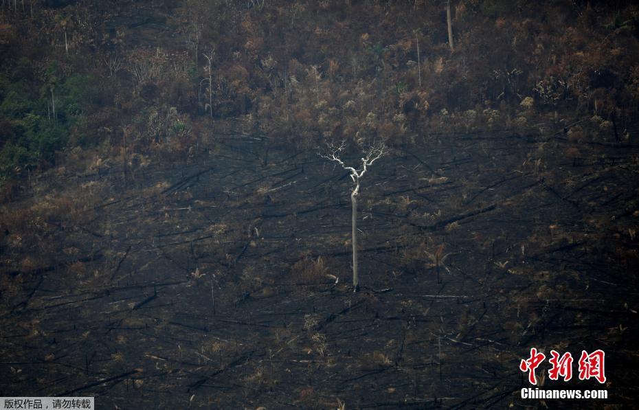 O governo brasileiro mobiliza o exército para ajudar a extinguir incêndios graves na Floresta Amaz?nica