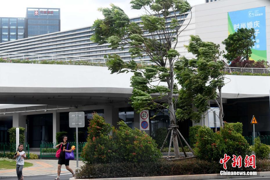 Tuf?o Bailu chega ao Leste da China