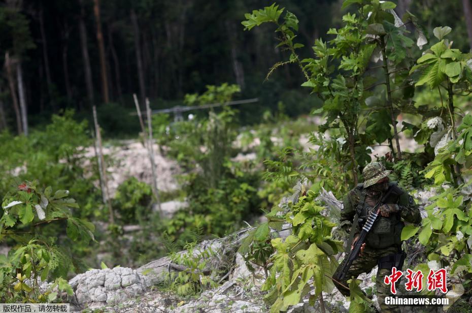 Polícia brasileira destrói máquinas usadas para desfloresta??o ilegal