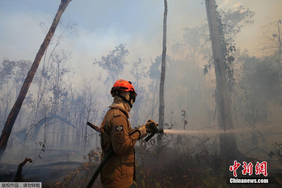 Galeria: bombeiros brasileiros combatem incêndio na Florestal Amaz?nica
