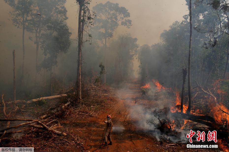Galeria: bombeiros brasileiros combatem incêndio na Florestal Amaz?nica