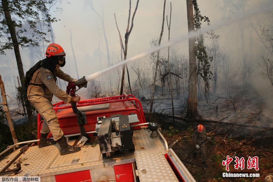 Galeria: bombeiros brasileiros combatem incêndio na Florestal Amaz?nica