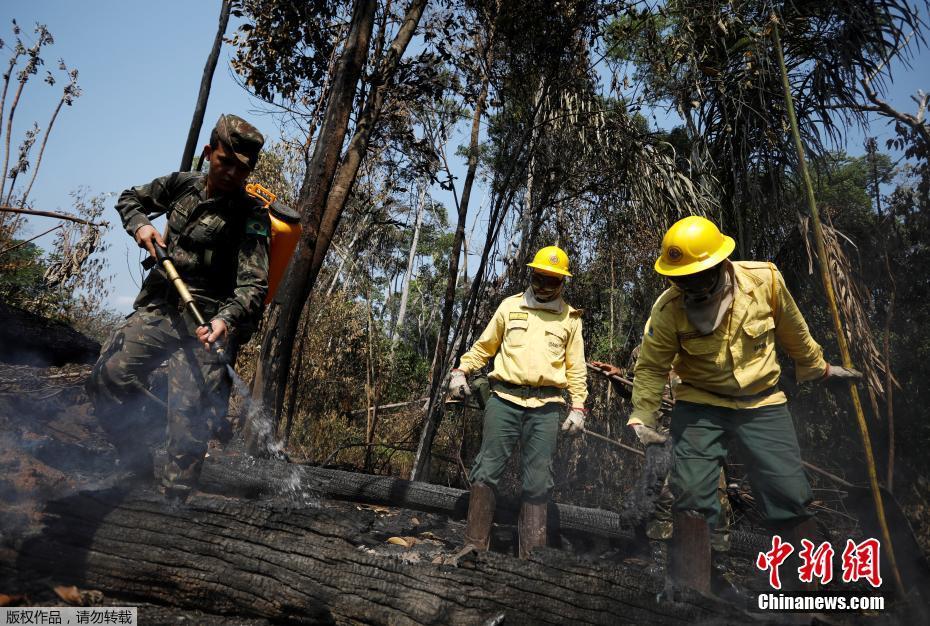 Galeria: bombeiros brasileiros combatem incêndio na Florestal Amaz?nica
