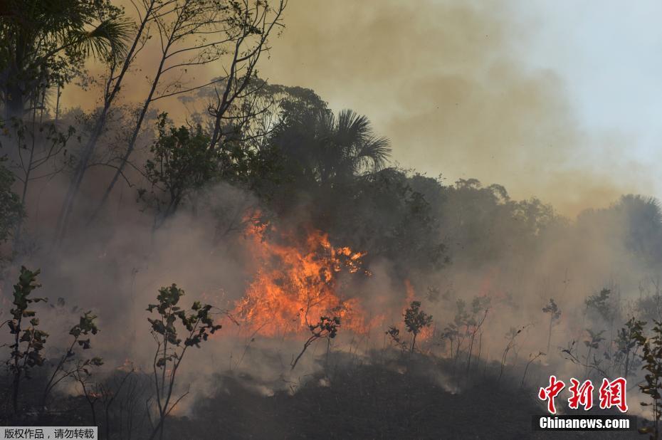 Galeria: bombeiros brasileiros combatem incêndio na Florestal Amaz?nica