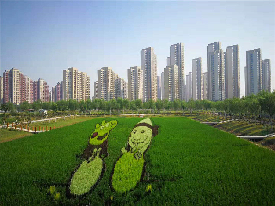 Agricultores celebram colheita e 70o aniversário da funda??o da China