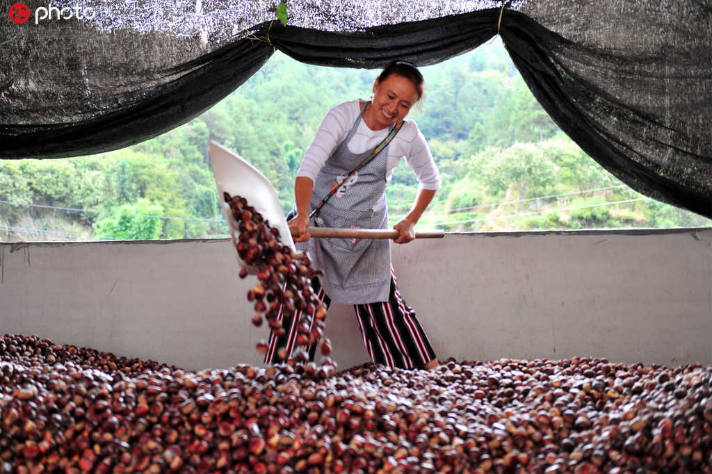 Produ??o anual de alimentos da China aumenta 5 vezes nos 70 anos