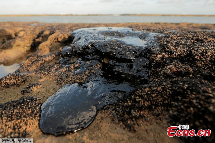 Brasil intensifica limpeza da polui??o costeira de petróleo em que mais de 100 praias foram afetadas