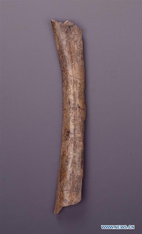 China come?ará a comemorar o 120o aniversário da descoberta das inscri??es em ossos oraculares