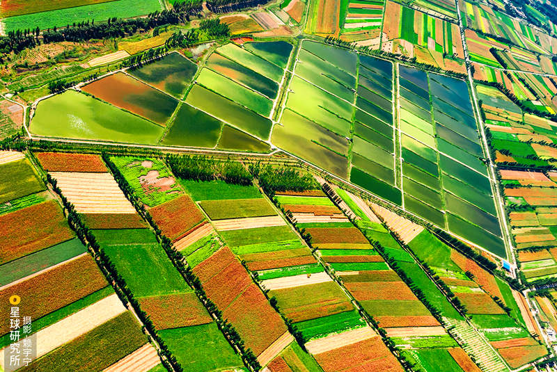 Galeria: Yili, um porto seguro no noroeste da China