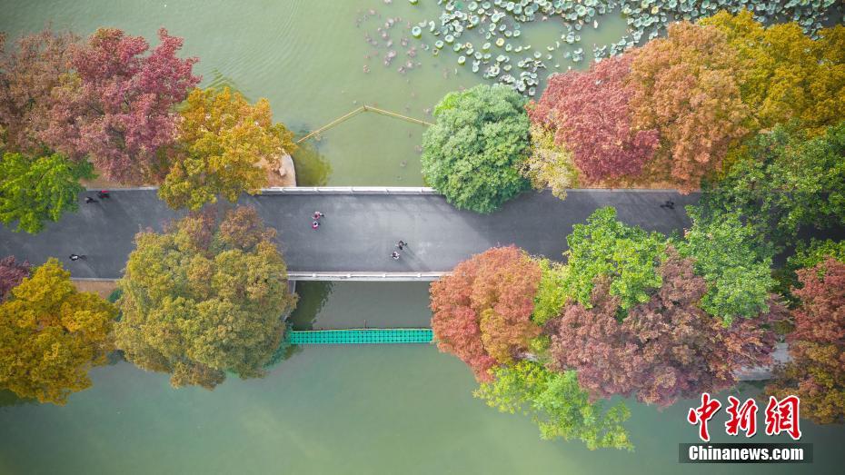 Nanjing: Lago Xuanwu enfeitado com tons outonais