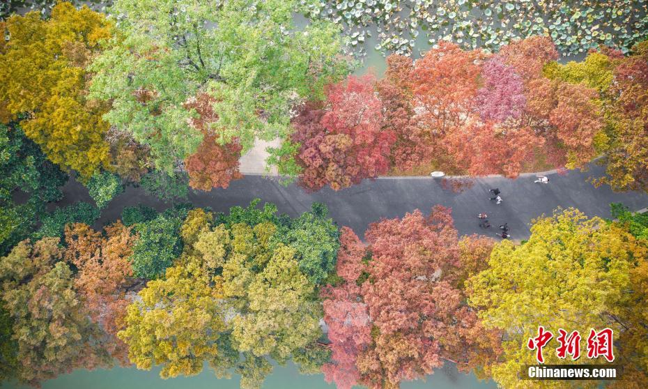 Nanjing: Lago Xuanwu enfeitado com tons outonais