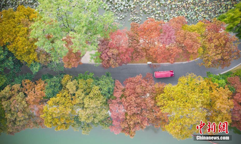 Nanjing: Lago Xuanwu enfeitado com tons outonais