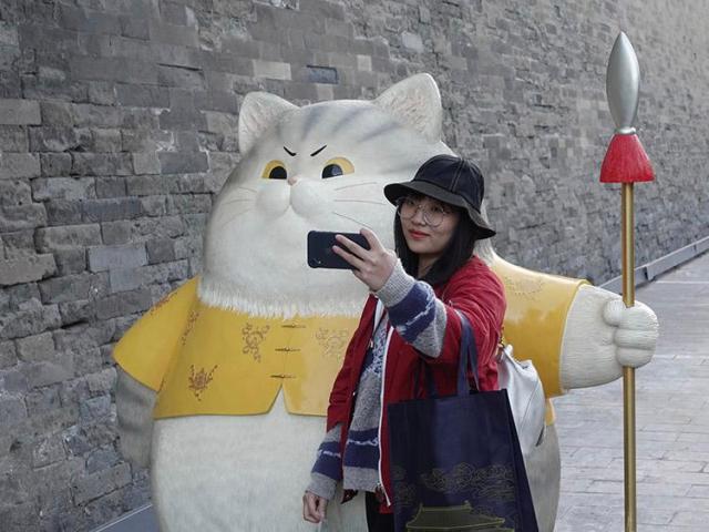 Cidade Proibida conta com a prote??o de “soldados felinos”