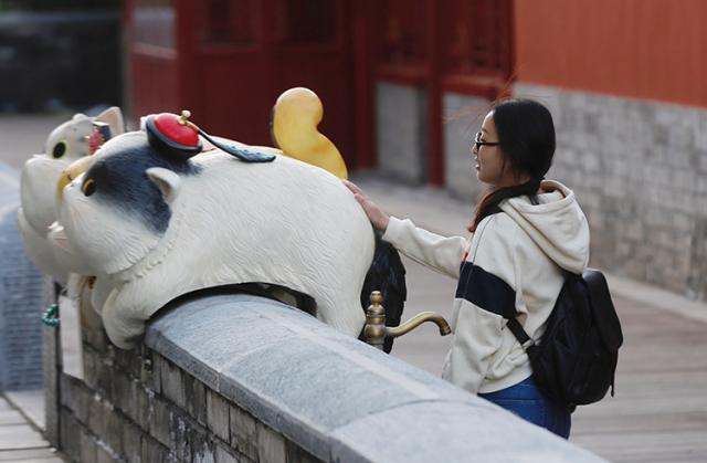 Cidade Proibida conta com a prote??o de “soldados felinos”