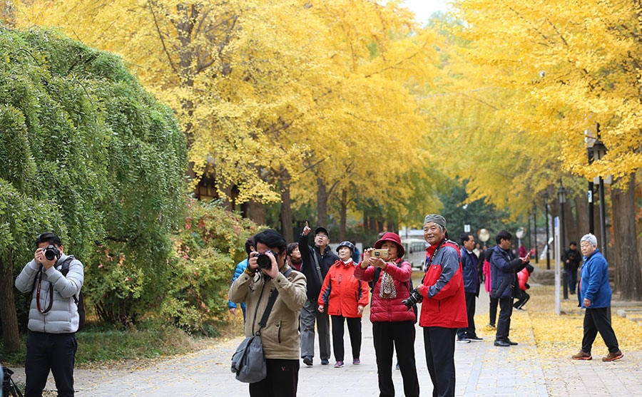 Galeria:?Antigo?Palácio?de?Ver?o?decorado?em?tons?outonais
