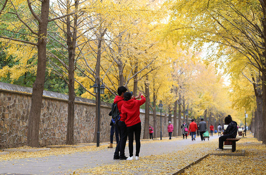 Galeria:?Antigo?Palácio?de?Ver?o?decorado?em?tons?outonais