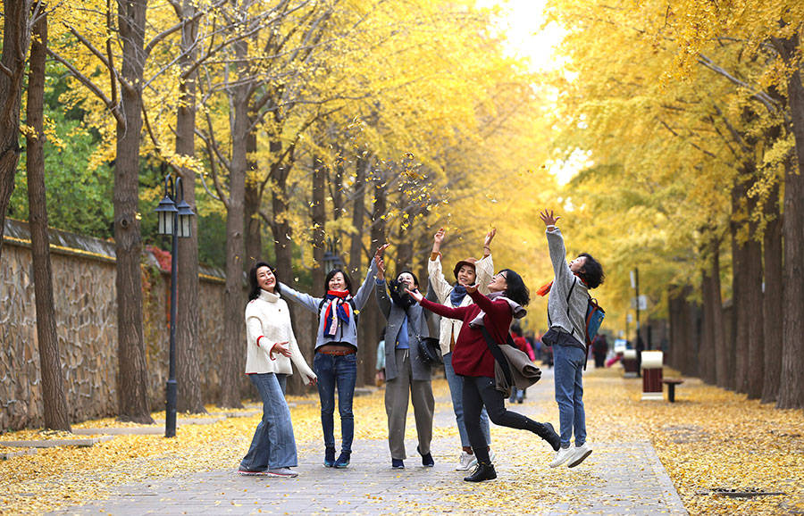 Galeria:?Antigo?Palácio?de?Ver?o?decorado?em?tons?outonais