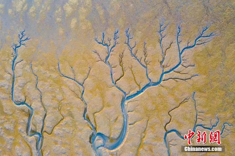 Paisagem especial após maré baixa em Jiangsu