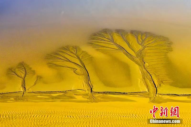 Paisagem especial após maré baixa em Jiangsu