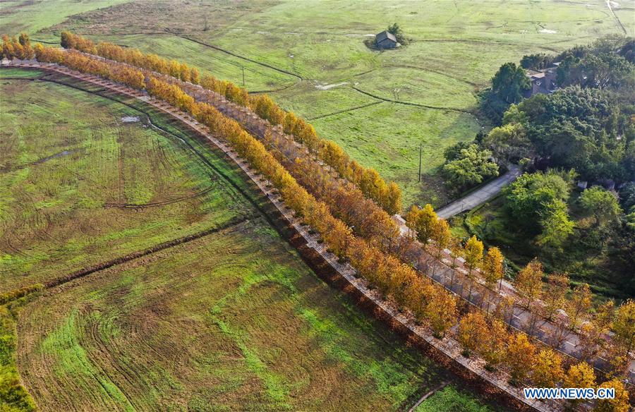 Cenário do início do inverno da ilha de Guangyang em Chongqing