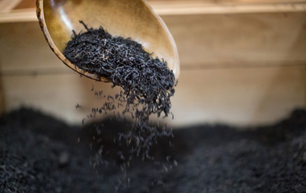 Chá Liu Bao em Wuzhou