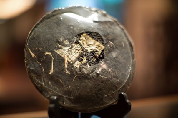 Chá Liu Bao em Wuzhou