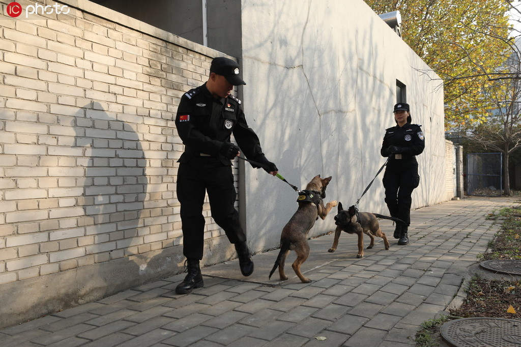 Cachorros clonados se unem à polícia de Beijing