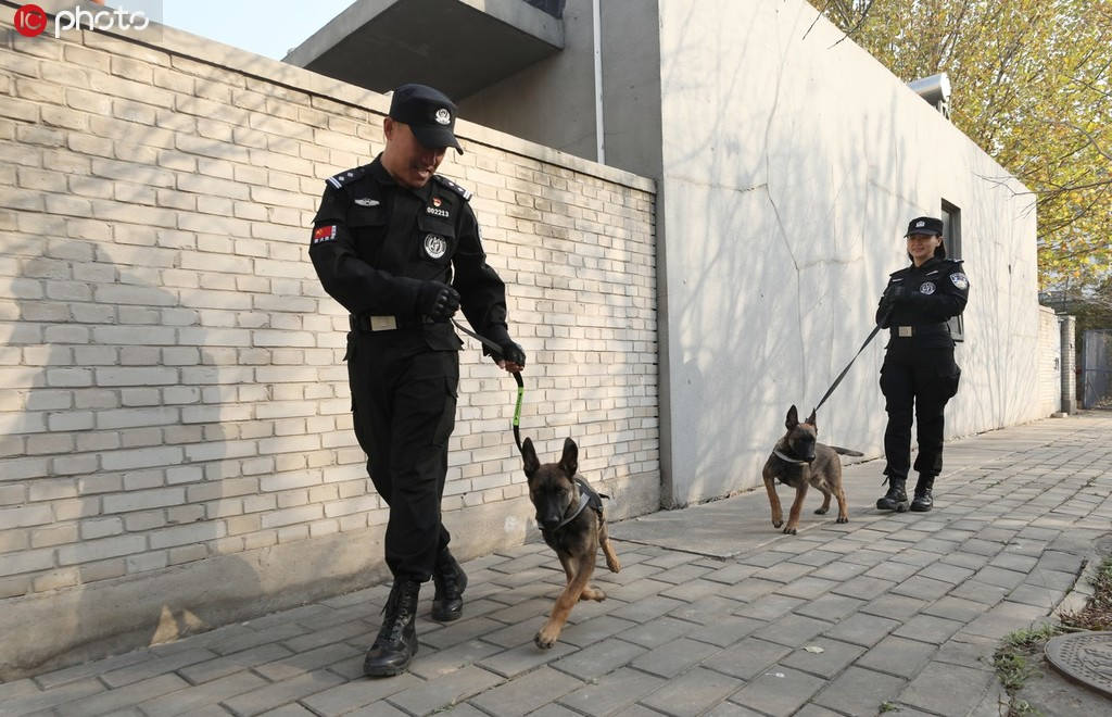 Cachorros clonados se unem à polícia de Beijing