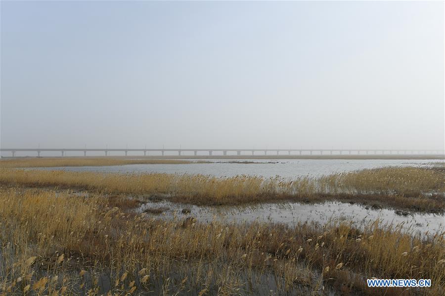 Pontes ferroviárias utilizadas na ferrovia Golmud-Korla para considera??es ecológicas