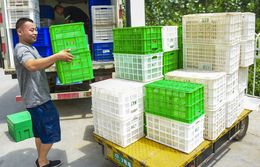 Banco Mundial: Sucesso do comércio eletr?nico da China reflete benefícios da digitaliza??o