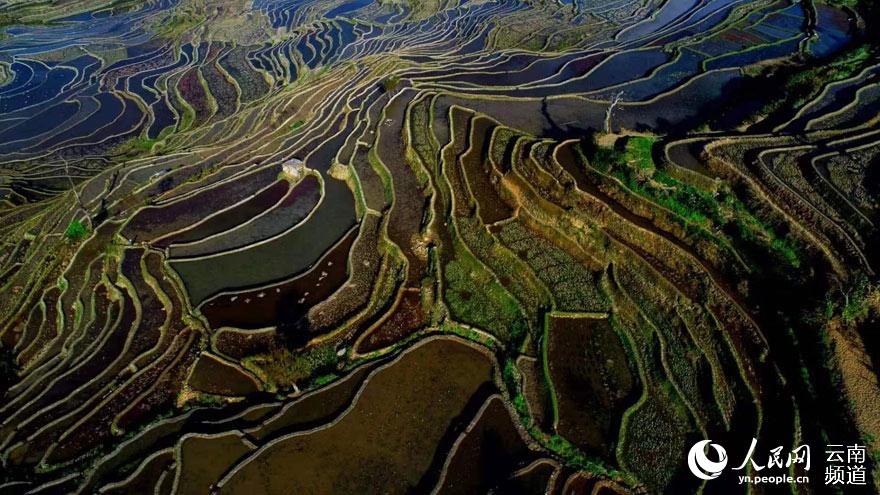 Paisagem invernal dos arrozais Honghe Hani