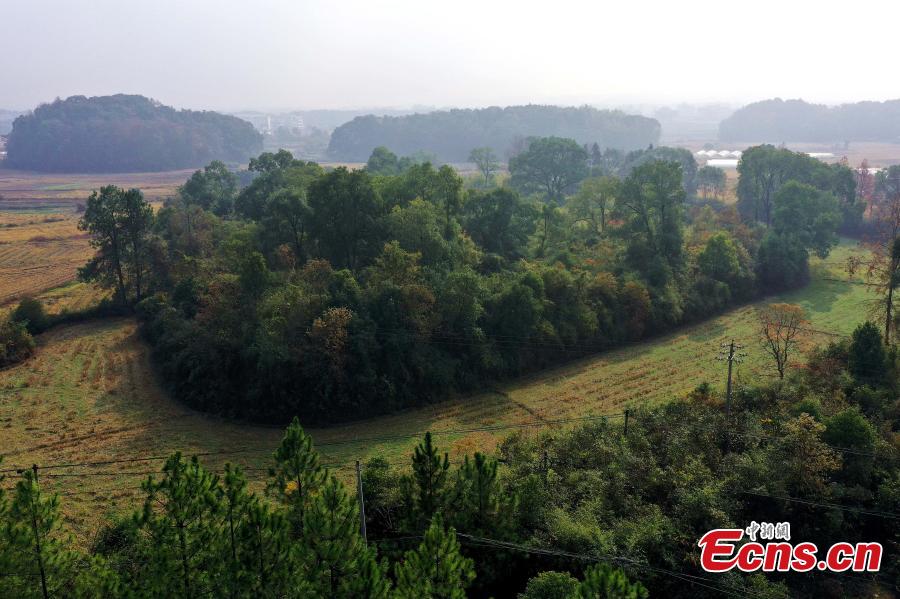 Povoamento com fosso de 5.000 anos descoberto na China