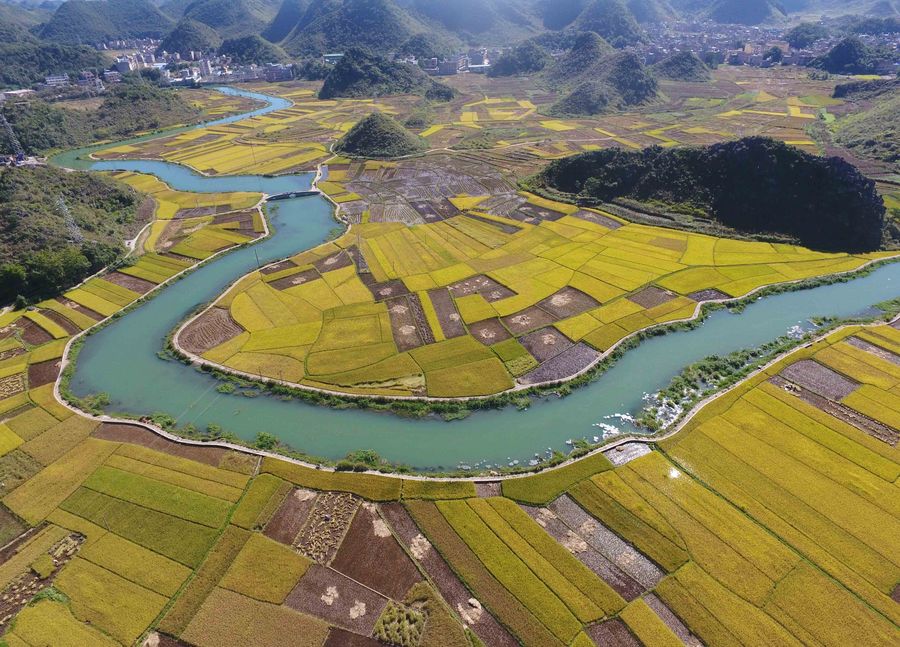 Observatório Econ?mico: China arrega?a as mangas para lidar com árduas tarefas do desenvolvimento rural em 2020