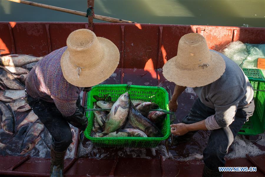 Yunnan: proibi??o de pesca suspensa temporariamente no lago Xingyun