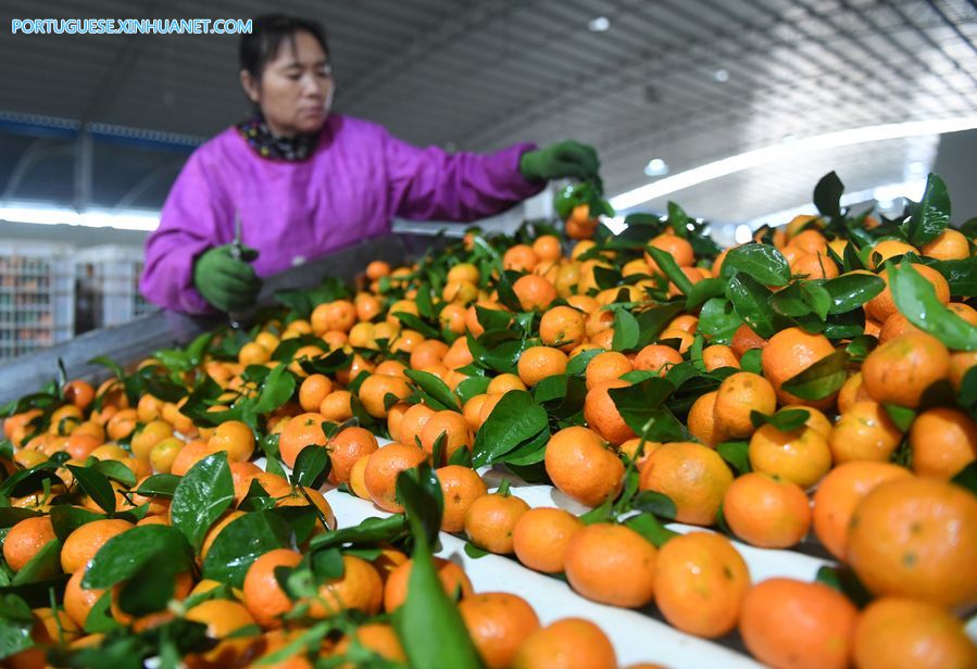 Comentário: Uma sociedade próspera para 1,4 bilh?o de pessoas: uma miss?o imparável