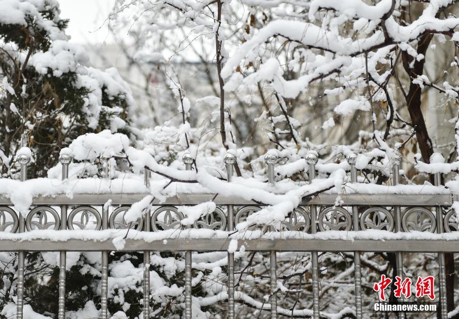 Beijing recebe primeira queda de neve de 2020