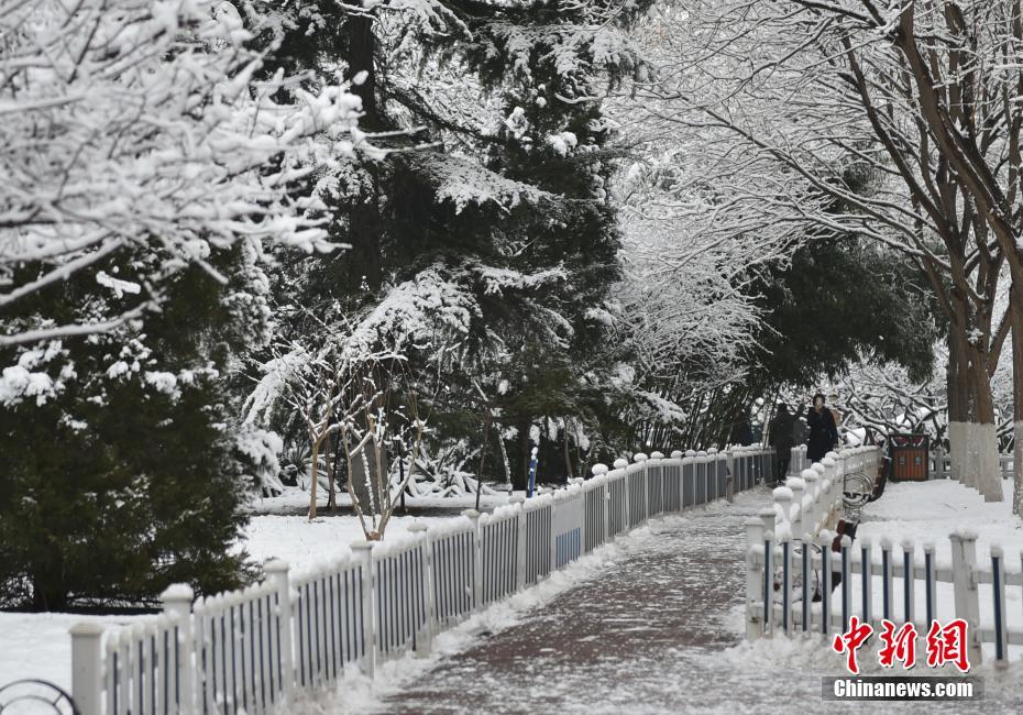 Beijing recebe primeira queda de neve de 2020