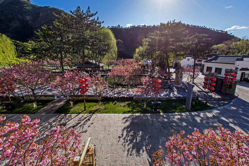 Beijing: indústria de turismo cultural de Yanqing inicia recupera??o