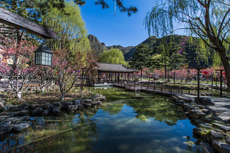 Beijing: indústria de turismo cultural de Yanqing inicia recupera??o