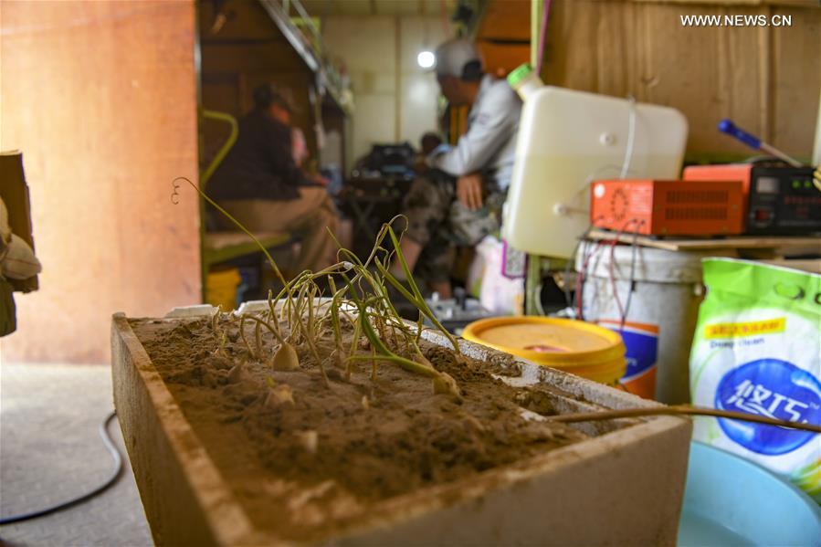 Constru??o de rodovia atravessando deserto de Taklimakan entra na fase final