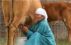 Rumo a uma vida melhor para os pastores