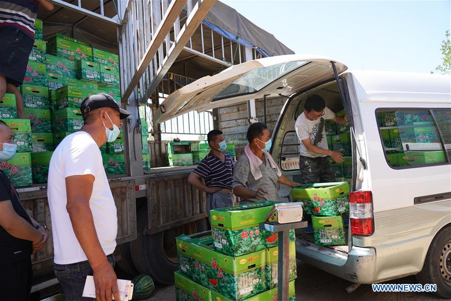 Beijing designa locais provisórios para venda de legumes após suspens?o do mercado atacadista de Xinfadi